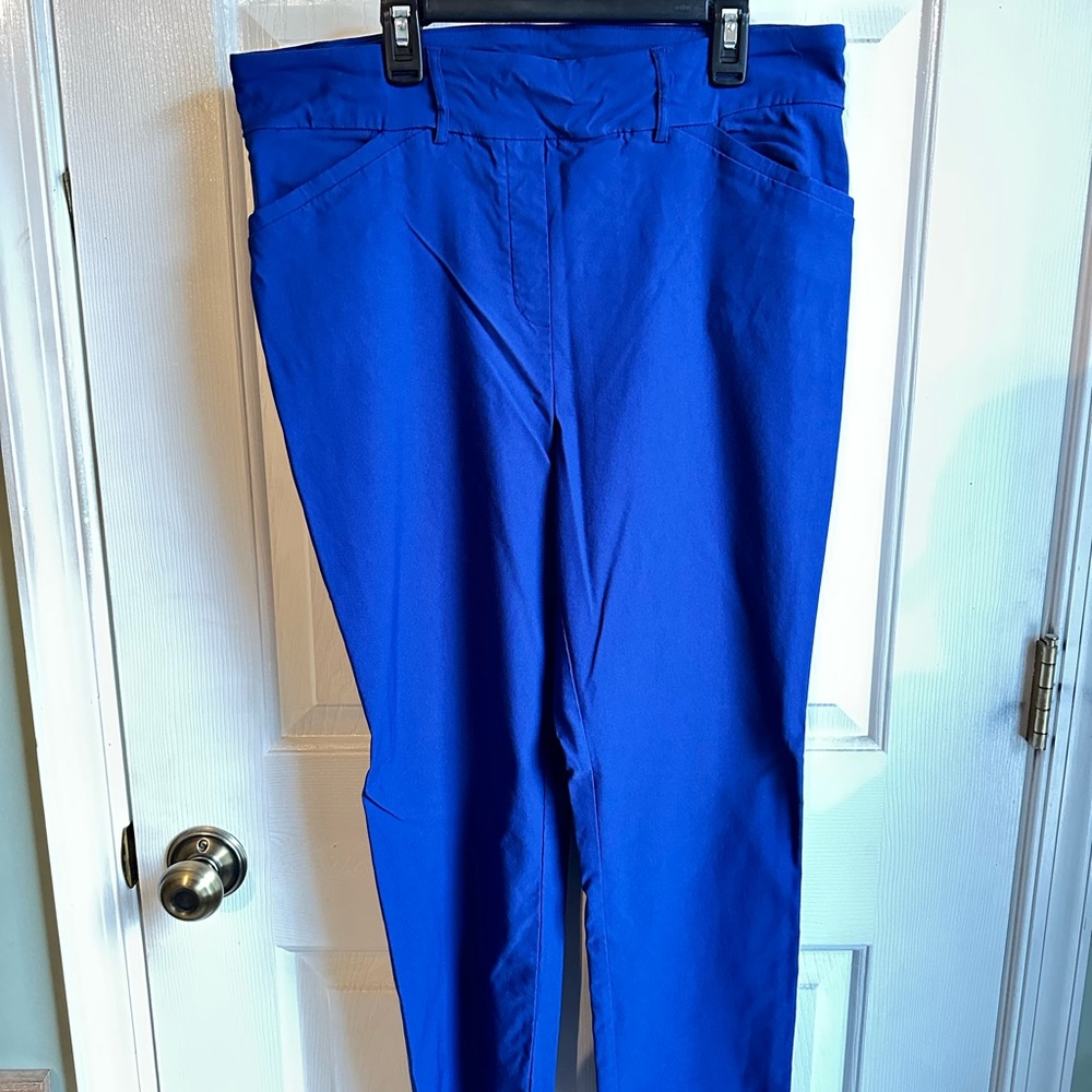 Hilary Radley Navy Garment